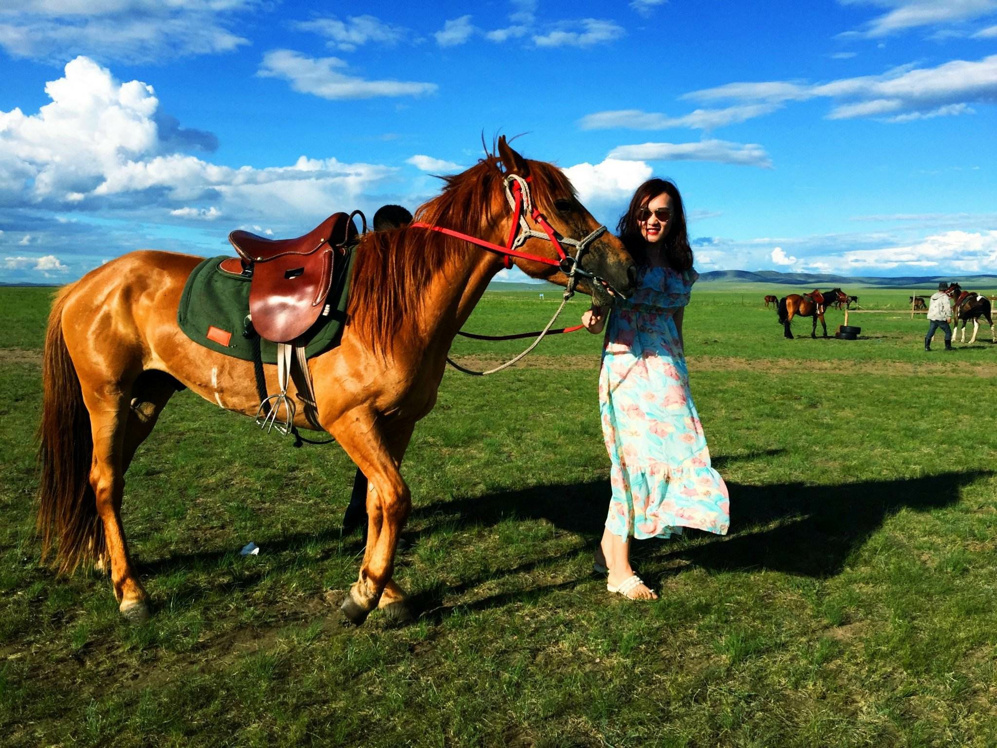 样品29-【探究民族文化·感受草原风情】5日 