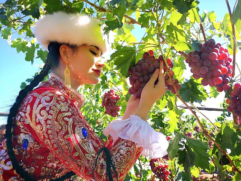 样品35-【寻西域民风·赏西域风情】10日